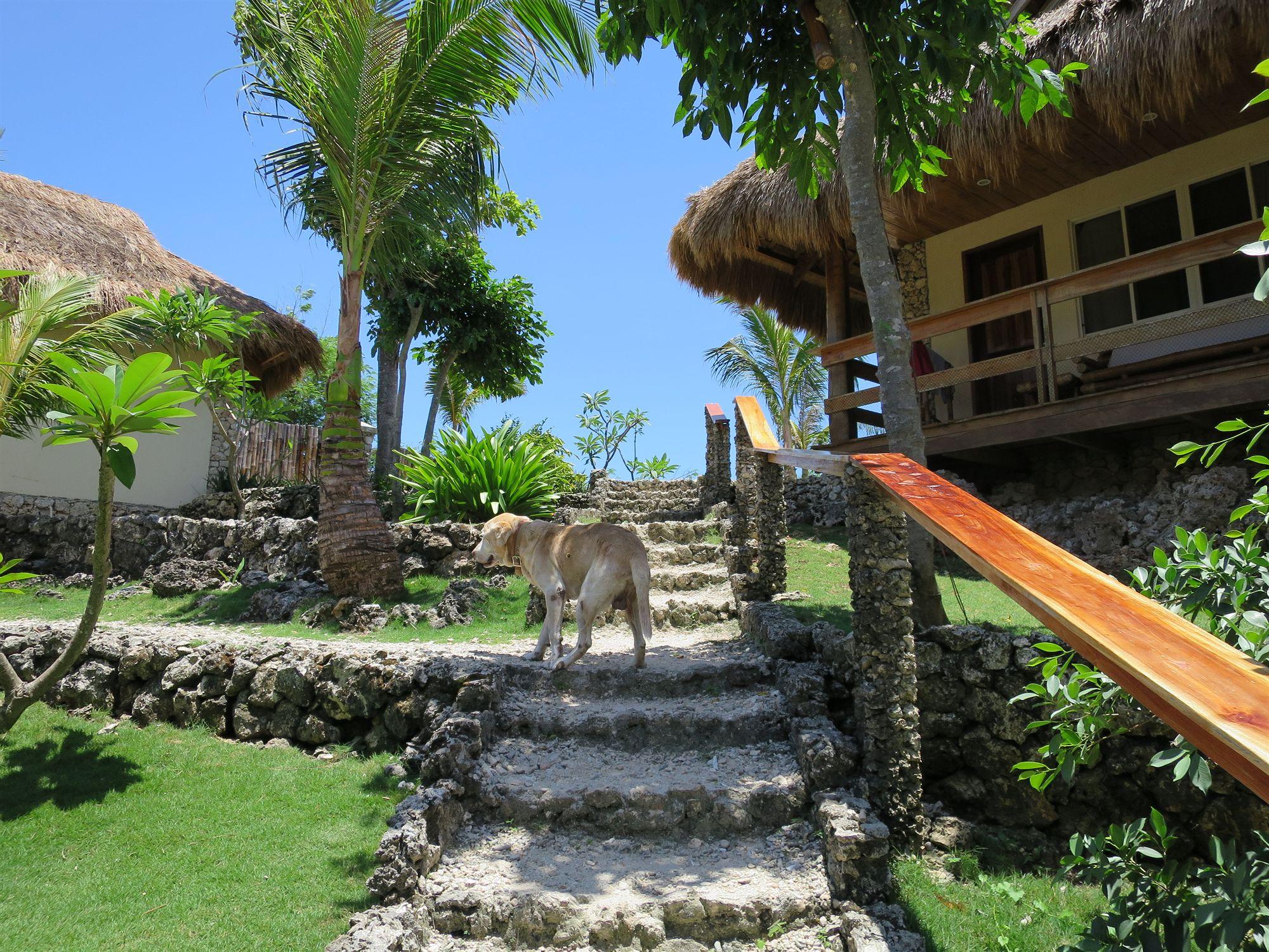 Tepanee Beach Resort Pulau Malapascua Bagian luar foto